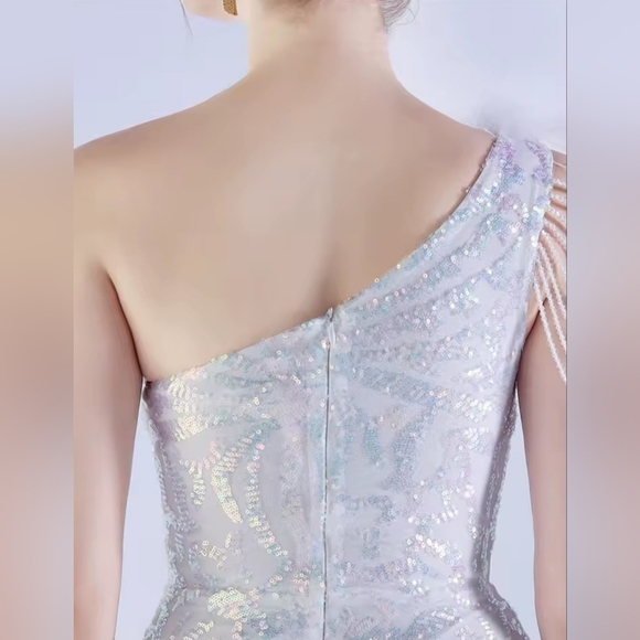 Opalescent,  Assymmetrical Neck,  Ostrich Feathers, Beaded, Geo ,Sequined Gown - Picture 3 of 15